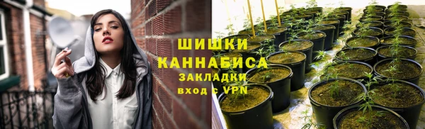 стаф Волосово