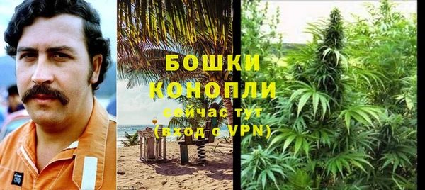 стаф Волосово