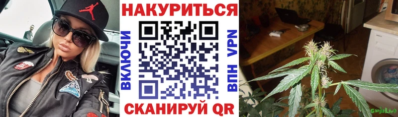 Канабис планчик  купить   нарко площадка официальный сайт  Выборг 